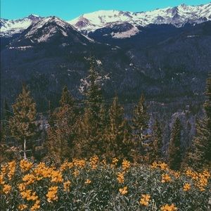 Meet your Posher, Adrianne